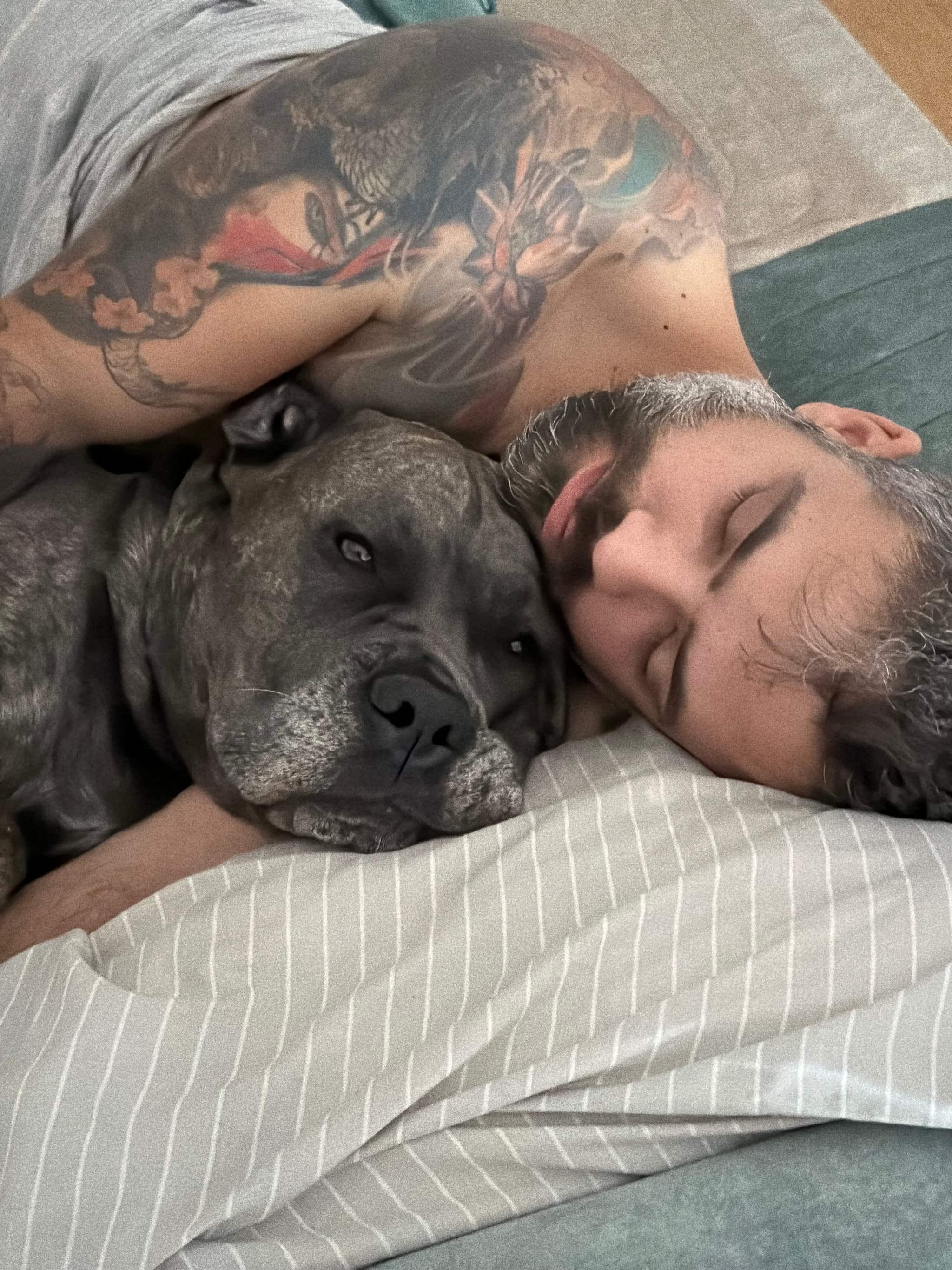 Reliable pet sitter with medical care & endless cuddles