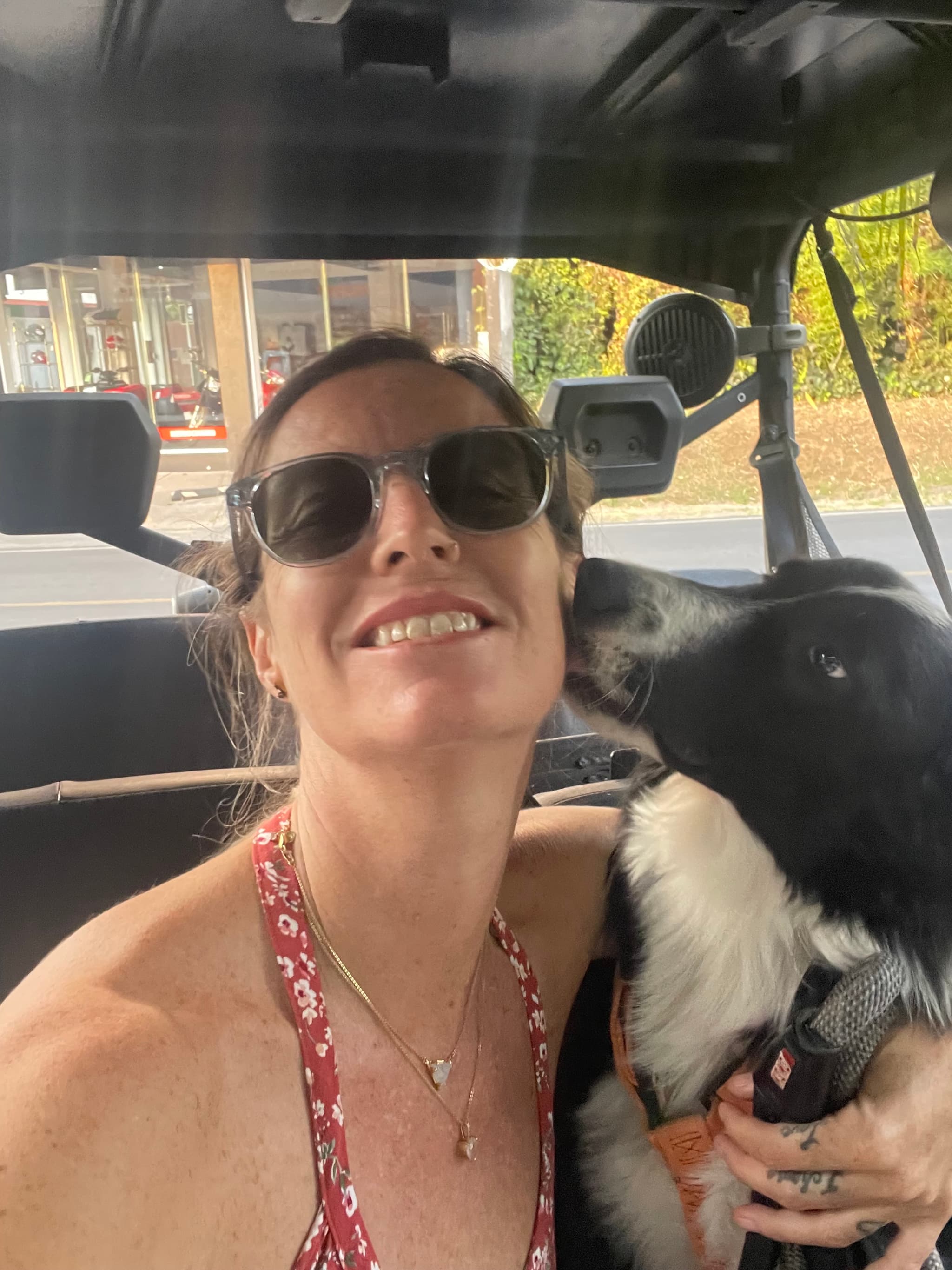 We are couple looking to spend the winter caring for pets