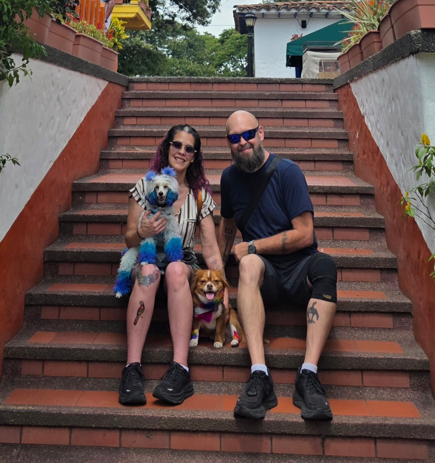 Experienced Pet-Sitting Couple Traveling Europe with Two Small Dogs